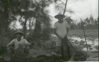 1950至2006年臺灣常民生活藏品圖，第1張