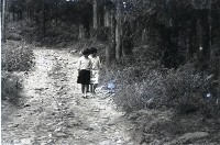 1950至2006年臺灣常民生活藏品圖，第1張