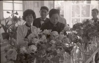 1950至2006年臺灣常民生活藏品圖，第1張