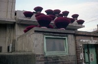 1950至2006年臺灣常民生活藏品圖，第1張