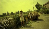 1950至2006年臺灣常民生活藏品圖，第1張