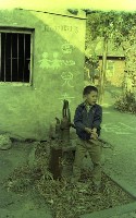 1950至2006年臺灣常民生活藏品圖，第1張