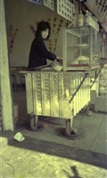 1950至2006年臺灣常民生活藏品圖，第1張