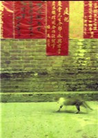 1950至2006年臺灣常民生活藏品圖，第1張