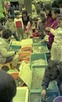 1950至2006年臺灣常民生活藏品圖，第1張