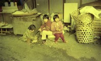 1950至2006年臺灣常民生活藏品圖，第1張