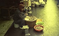 1950至2006年臺灣常民生活藏品圖，第1張