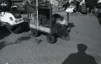 1950至2006年臺灣常民生活藏品圖，第1張