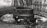 1950至2006年臺灣常民生活藏品圖，第1張
