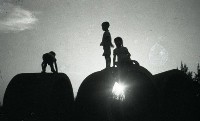 1950至2006年臺灣常民生活藏品圖，第1張