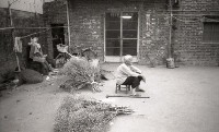 1950至2006年臺灣常民生活藏品圖，第1張