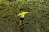 1950至2006年臺灣常民生活藏品圖，第1張