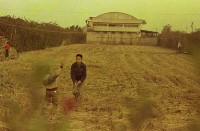 1950至2006年臺灣常民生活藏品圖，第1張