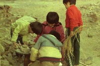 1950至2006年臺灣常民生活藏品圖，第1張