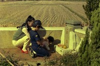 1950至2006年臺灣常民生活藏品圖，第1張