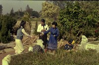 1950至2006年臺灣常民生活藏品圖，第1張
