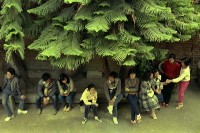 1950至2006年臺灣常民生活藏品圖，第1張