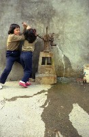 1950至2006年臺灣常民生活藏品圖，第1張