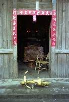 1950至2006年臺灣常民生活藏品圖，第1張