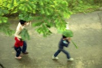 1950至2006年臺灣常民生活藏品圖，第1張