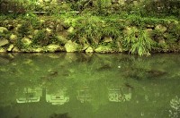1950至2006年臺灣常民生活藏品圖，第1張