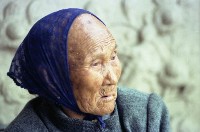 1950至2006年臺灣常民生活藏品圖，第1張