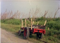 1950至2006年臺灣常民生活藏品圖，第1張