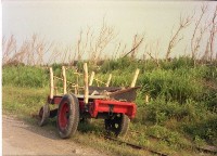 1950至2006年臺灣常民生活藏品圖，第1張