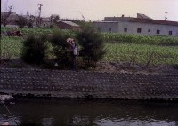 1950至2006年臺灣常民生活藏品圖，第1張