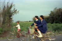 1950至2006年臺灣常民生活藏品圖，第1張