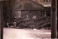 1950至2006年臺灣常民生活藏品圖，第1張