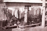 1950至2006年臺灣常民生活藏品圖，第1張