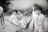 1950至2006年臺灣常民生活藏品圖，第1張