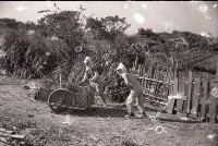1950至2006年臺灣常民生活藏品圖，第1張
