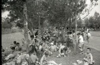 1950至2006年臺灣常民生活藏品圖，第1張