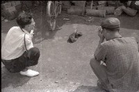 1950至2006年臺灣常民生活藏品圖，第1張