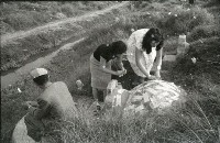 1950至2006年臺灣常民生活藏品圖，第1張