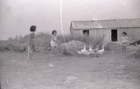 1950至2006年臺灣常民生活藏品圖，第1張