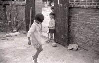 1950至2006年臺灣常民生活藏品圖，第1張