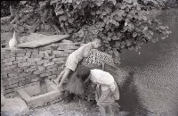 1950至2006年臺灣常民生活藏品圖，第1張