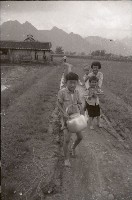 1950至2006年臺灣常民生活藏品圖，第1張