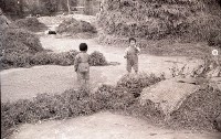 1950至2006年臺灣常民生活藏品圖，第1張