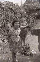 1950至2006年臺灣常民生活藏品圖，第1張