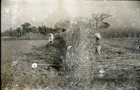 1950至2006年臺灣常民生活藏品圖，第1張