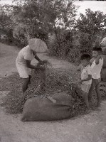 1950至2006年臺灣常民生活藏品圖，第1張