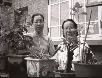 1950至2006年臺灣常民生活藏品圖，第1張