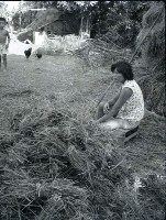 1950至2006年臺灣常民生活藏品圖，第1張