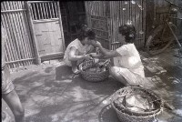 1950至2006年臺灣常民生活藏品圖，第1張