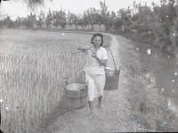 1950至2006年臺灣常民生活藏品圖，第1張