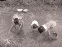 1950至2006年臺灣常民生活藏品圖，第1張